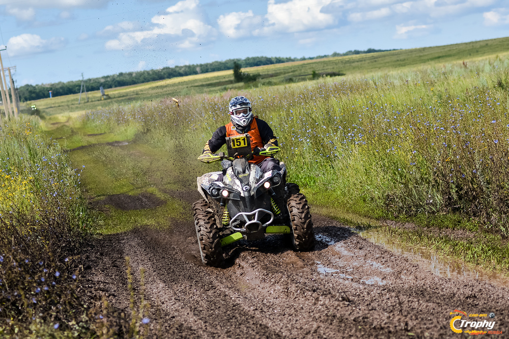 cm_wtm_34006339555abfc502bb0b