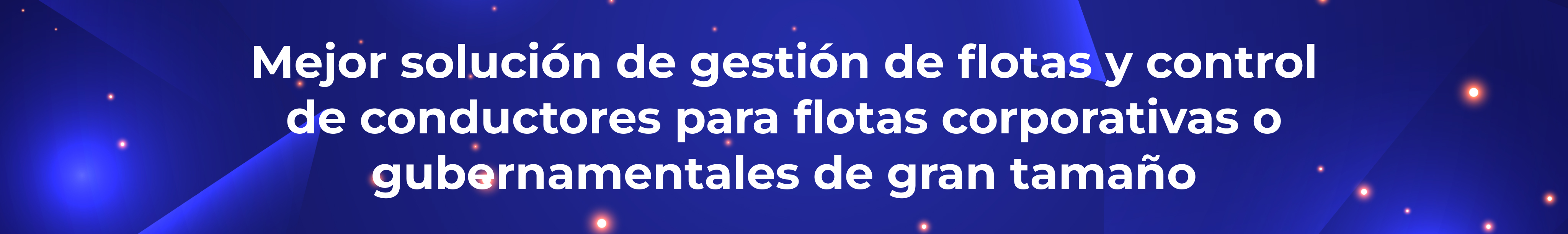 Mejor solución de gestión de flotas y control de conductores para flotas corporativas o gubernamentales de gran tamaño