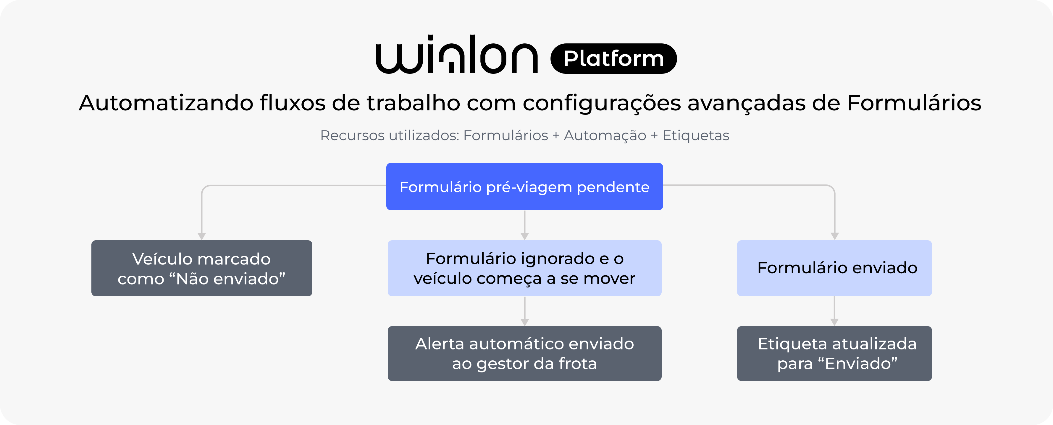 Infographics 3 Forms in Wialon Platform Pt