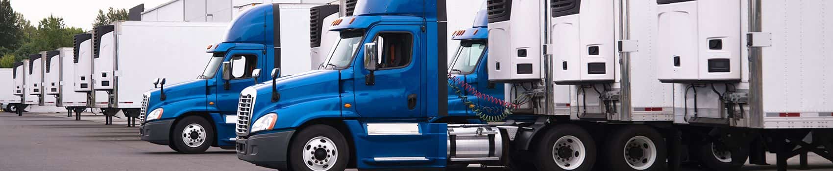 refrigerated truck fleet min