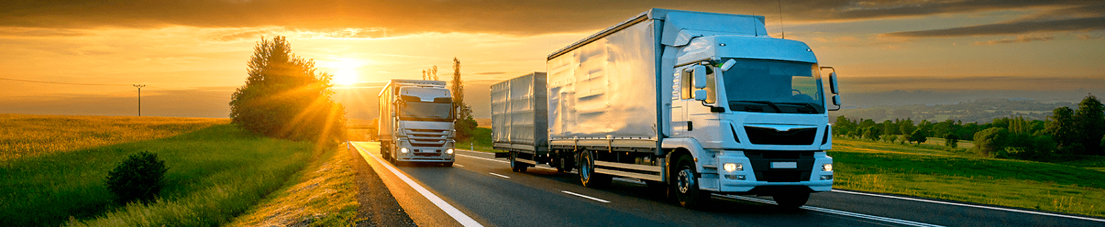 Optimizing the search for cost-effective cargo transportation routes