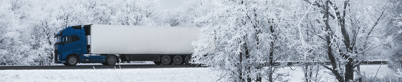 driver safety monitoring system