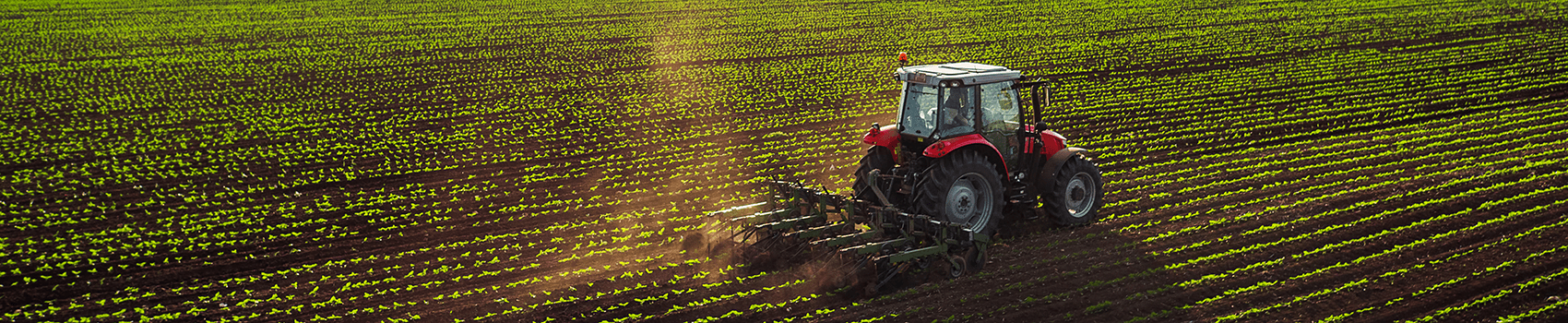 stavropol agribusiness min