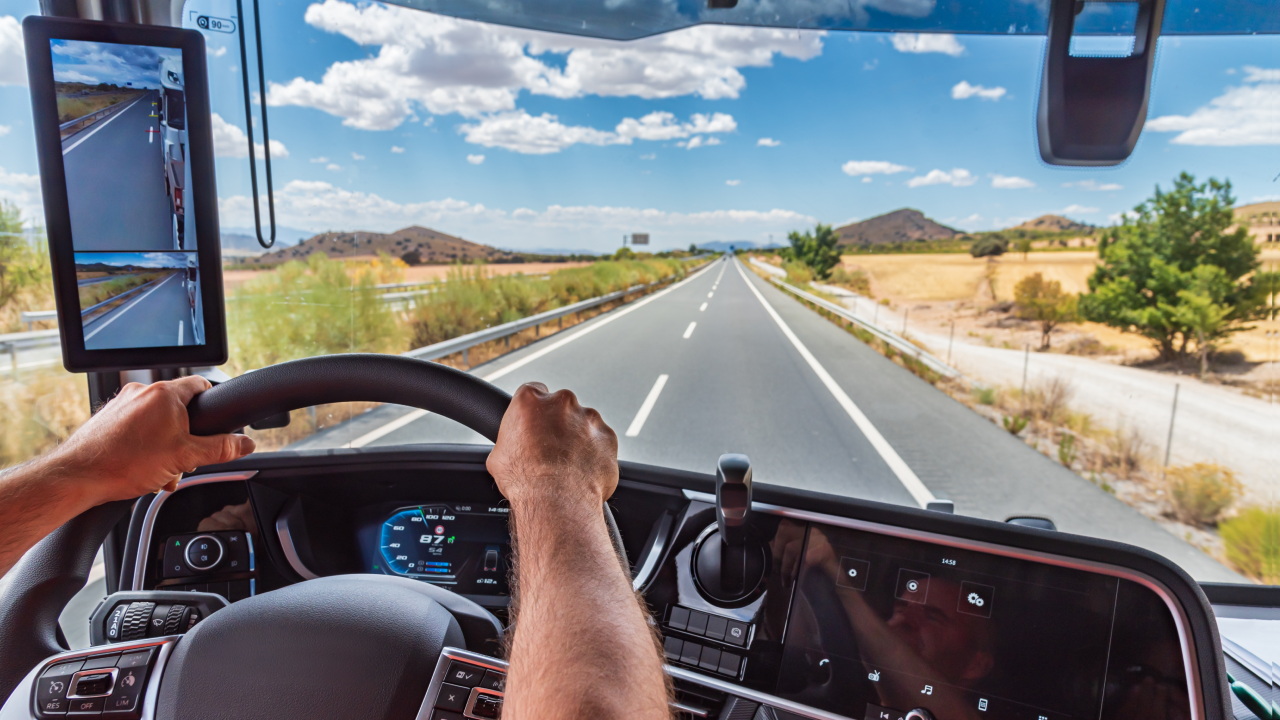 Video Telematics Wialon