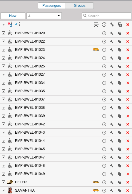 Passenger-list-example