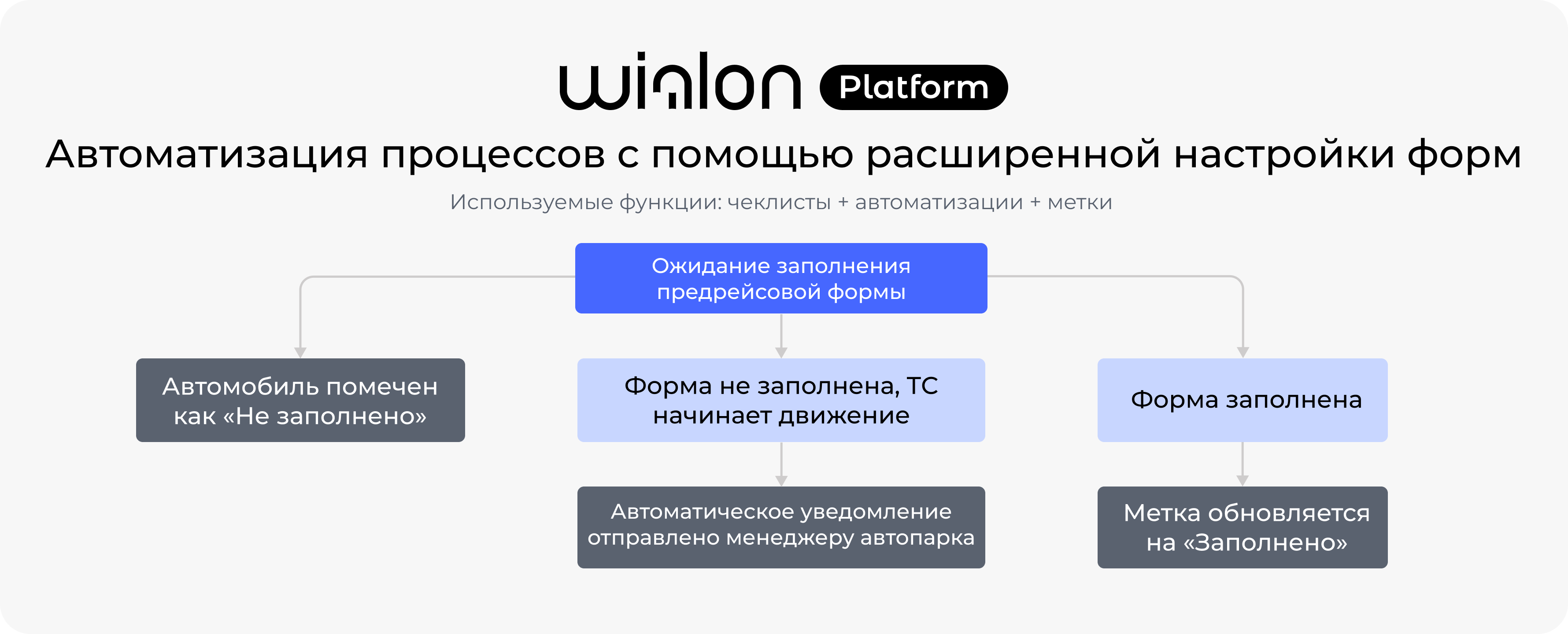 Infographics 3 Forms in Wialon Platform Ru
