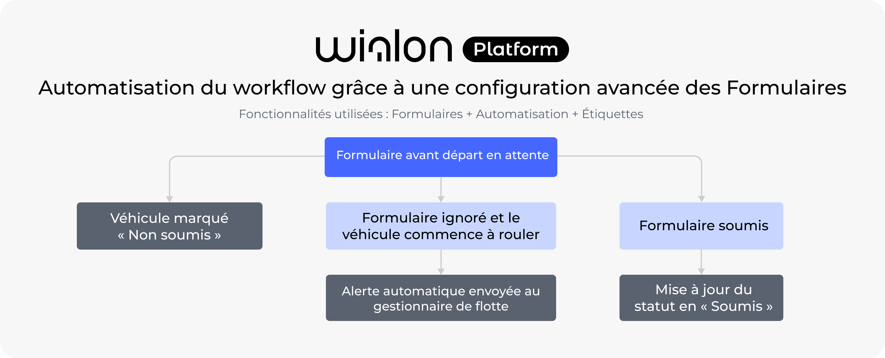 Infographics 3 Forms in Wialon Platform Fr