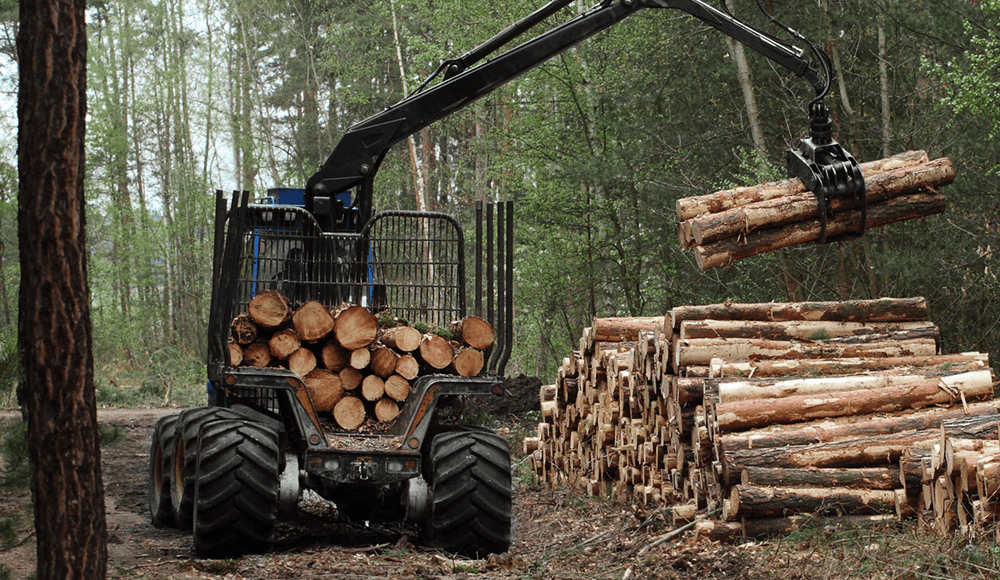 Fuel consumption monitoring: the solution for wood industry