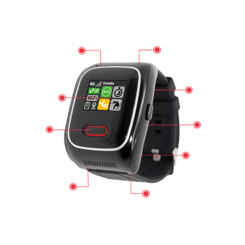 Emerit e-WG100