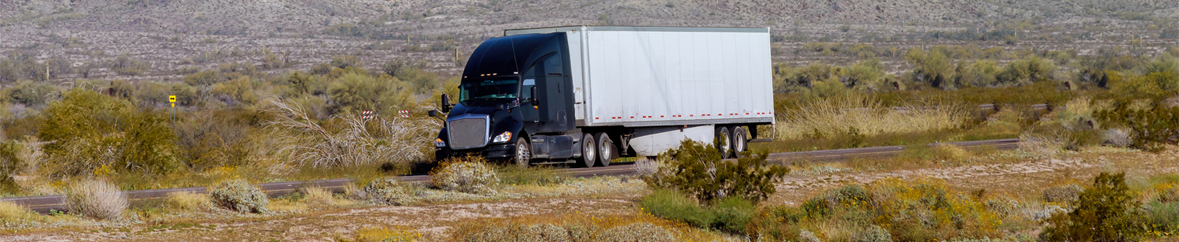 Accident monitoring system