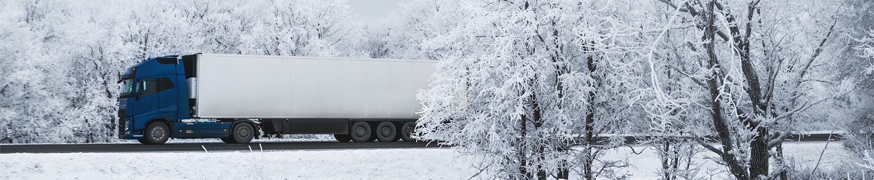 Driver safety monitoring system